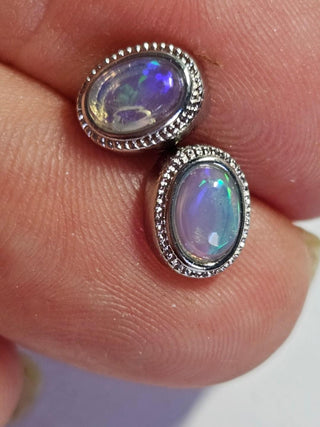 Solid Opal Twist Stud Oval Earrings Australian Genuine Gems Silver RRP$160