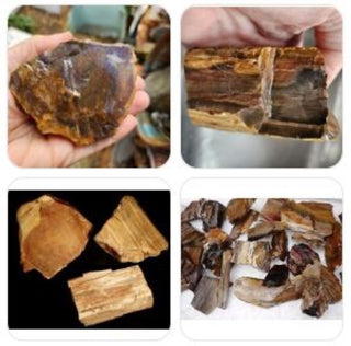Rough Petrified Wood Specimens 1kg Hand Collected Chinchilla Australia Natural Gem