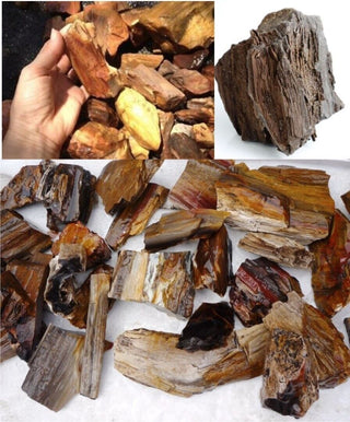 Rough Petrified Wood Specimens 1kg Hand Collected Chinchilla Australia Natural Gem
