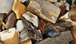 Rough Petrified Wood Specimens 1kg Hand Collected Chinchilla Australia Natural Gem