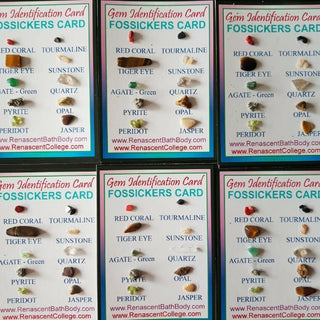 Gem Identification Cards – Set of 2 Genuine Polished & Rough Crystals • Beautiful Collector & Healer Set