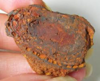 Yowah Boulder Opal Rough Specimens 10 Pieces Queensland Australia Hand Fossicked
