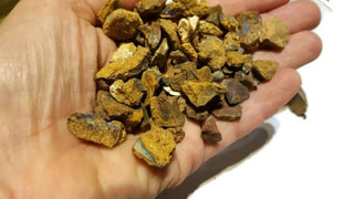 Yowah Boulder Opal Rough Specimens 10 Pieces Queensland Australia Hand Fossicked