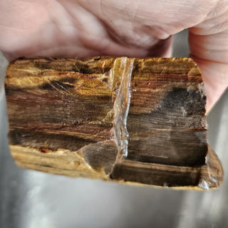 Rough Petrified Wood Specimens – Bulk Lots Genuine Australian Gemstone • Hand Collected • Nature's Ancient Treasure
