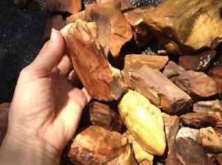 Rough Petrified Wood Specimens – Bulk Lots Genuine Australian Gemstone • Hand Collected • Nature's Ancient Treasure