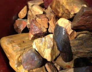 Rough Petrified Wood Specimens – Bulk Lots Genuine Australian Gemstone • Hand Collected • Nature's Ancient Treasure