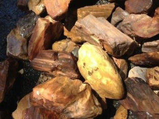 Rough Petrified Wood Specimens – Bulk Lots Genuine Australian Gemstone • Hand Collected • Nature's Ancient Treasure