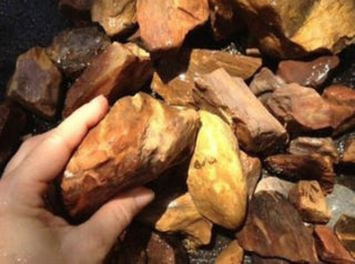 Rough Petrified Wood Specimens – Bulk Lots Genuine Australian Gemstone • Hand Collected • Nature's Ancient Treasure