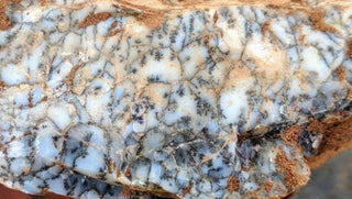 Australian Dendritic Opalite Rough Specimens 500g to 2kg Hand Collected Kalgoorlie WA