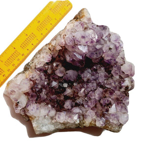 Amethyst Cluster High Quality HUGE 1.6kgs Crystals Gemstones G1