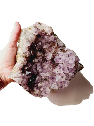 Amethyst Cluster High Quality HUGE 1.6kgs Crystals Gemstones G1