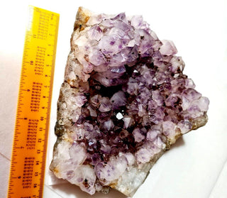 Amethyst Cluster High Quality HUGE 1.6kgs Crystals Gemstones G1