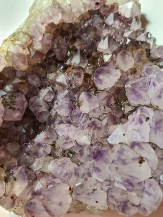 Amethyst Cluster High Quality HUGE 1.6kgs Crystals Gemstones G1