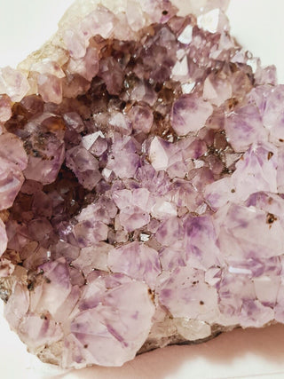 Amethyst Cluster High Quality HUGE 1.6kgs Crystals Gemstones G1