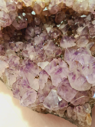 Amethyst Cluster High Quality HUGE 1.6kgs Crystals Gemstones G1