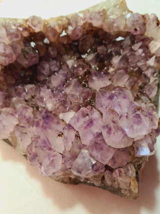 Amethyst Cluster High Quality HUGE 1.6kgs Crystals Gemstones G1