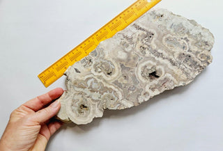 Massive 1.2kg Brecciated Thundereggs Plate Genuine Gems Gemstone RARE, Cut G1