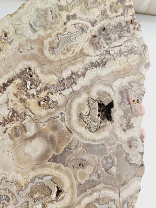 Massive 1.2kg Brecciated Thundereggs Plate Genuine Gems Gemstone RARE, Cut G1
