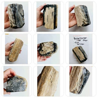 Petrified Opalised Wood Tree Trunk Genuine Gems Gemstone Rare Specimen 926gm G1