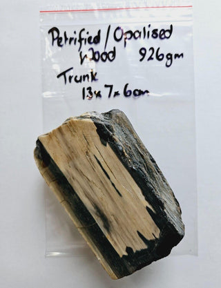 Petrified Opalised Wood Tree Trunk Genuine Gems Gemstone Rare Specimen 926gm G1