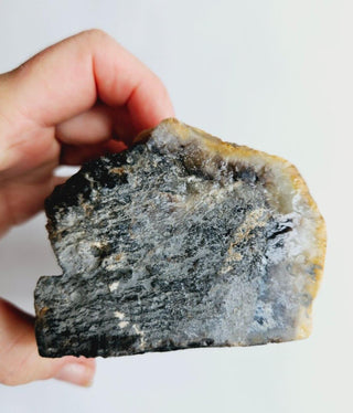 Petrified Opalised Wood Tree Trunk Genuine Gems Gemstone Rare Specimen 926gm G1