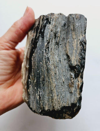 Petrified Opalised Wood Tree Trunk Genuine Gems Gemstone Rare Specimen 926gm G1