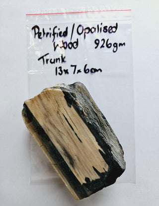 Petrified Opalised Wood Tree Trunk Genuine Gems Gemstone Rare Specimen 926gm G1