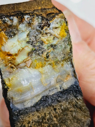 Yowah Sheet Opal Matrix 88gms / 440 Carats Boulder Queensland Colour Flash H1