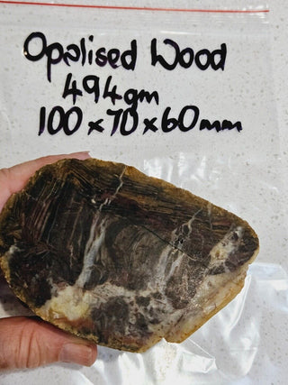 Opalised Petrified Wood Specimen Genuine Gems Gemstone 494gms Partly Polished H1