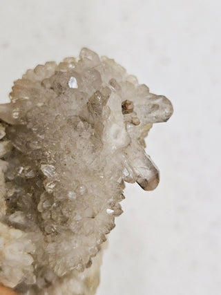 Elestial Quartz / Smoky Quartz Crystal Cluster Genuine Gems Gemstone 62gm H1