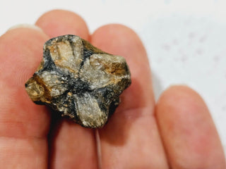 Chiastolite Jerusalem Cross Specimen Genuine Gems Gemstone 14gm H1