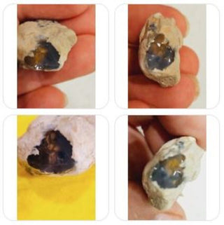 Jelly Opal Nodule 8gm / 40 Carat Genuine Gems Gemstone rare Colour Bubble H1
