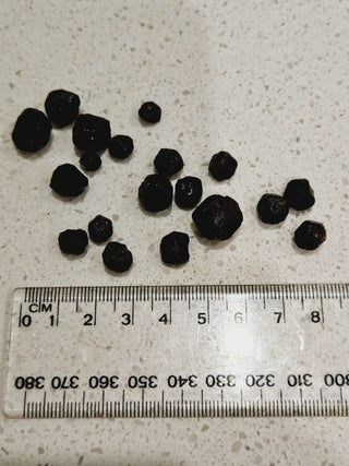 Natural Shape Australian Garnets Bundle You get all Genuine Gems Gemstone H1