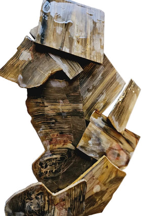 Petrified Wood Thin Sliced Specimens 200g Australian Chinchilla Natural Gem Rough