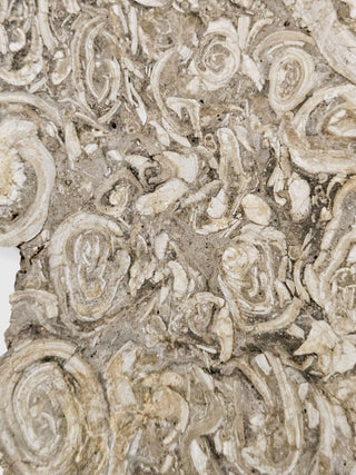 Brecciated Fossil Conglomerate Plate 1.597kg Rare Hand Cut Slab 180x200x40mm G1