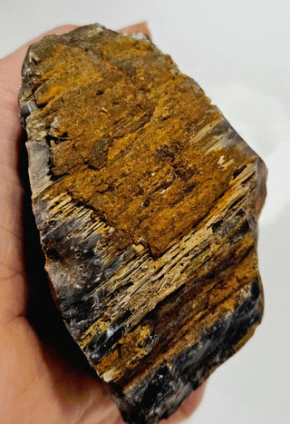 Petrified Opalised Wood Tree Trunk Genuine Gems Gemstone Rare Specimen 518gm G2