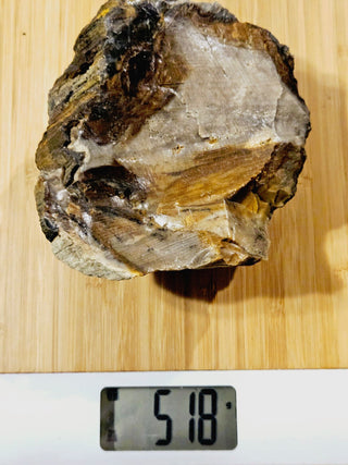 Petrified Opalised Wood Tree Trunk Genuine Gems Gemstone Rare Specimen 518gm G2