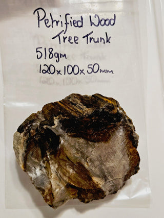 Petrified Opalised Wood Tree Trunk Genuine Gems Gemstone Rare Specimen 518gm G2