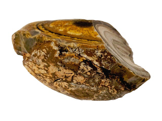 Ribbonstone Jasper Australian Unique 549gms Genuine Gems Gemstone G2