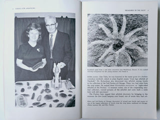 Fossils for Amateurs Paper back  russell P MacFall J C Wollin Book Bx2