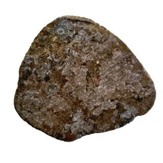 Fascinating Radiating Fossil Genuine Gems Gemstone orbicular granite G6