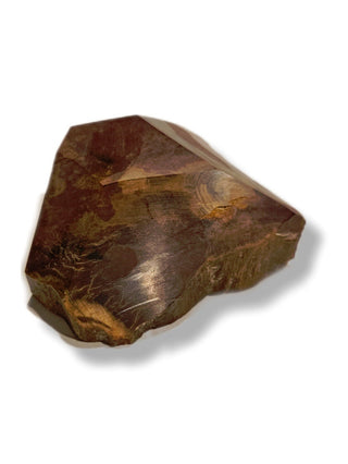 Faceted Petrified Wood Polished Specimen 186gms Genuine Gems Gemstone G6