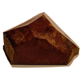 Faceted Petrified Wood Polished Specimen 186gms Genuine Gems Gemstone G6