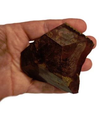 Faceted Petrified Wood Polished Specimen 186gms Genuine Gems Gemstone G6