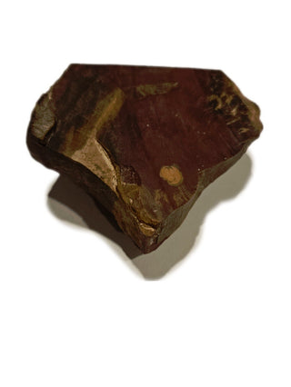 Faceted Petrified Wood Polished Specimen 186gms Genuine Gems Gemstone G6