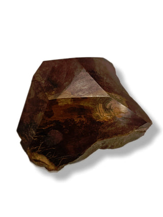 Faceted Petrified Wood Polished Specimen 186gms Genuine Gems Gemstone G6