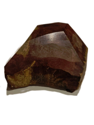 Faceted Petrified Wood Polished Specimen 186gms Genuine Gems Gemstone G6