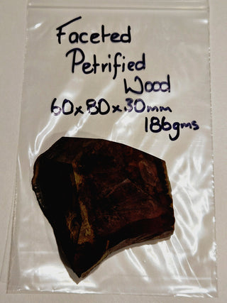 Faceted Petrified Wood Polished Specimen 186gms Genuine Gems Gemstone G6