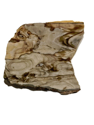 Natural Scenic Picture Jasper Slice 95gms Genuine Gems Gemstone G6