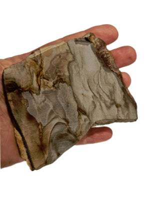 Natural Scenic Picture Jasper Slice 95gms Genuine Gems Gemstone G6